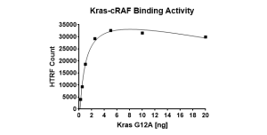 Kras G12A–cRAF Binding Assay Kit